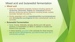 Mixed acid and butanediol fermentation
 Mixed acid
 Some G(-) facultative anaerobic bacteria including species of
Escherichia, Salmonella, Shigella and Enterobacter ferment
glucose, producing various products including lactate, acetate,
succinate, formate, CO2 and H2.
 Strictly anaerobes such as Anaerobiospirillum succiniciproducens
and Actinobacillus succinogenes ferment carbohydrate mainly to
succinate.
 Butanediol fermentation
 Some Erwinia, Klebsiella, Serratia, Bacillus and LAB species
produce 2,3-butanediol (2,3-BDO) in addition to lactate and
ethanol from pyruvate.
 In these bacteria, pyruvate is the substrate for three enzymes
such as lactate dehydrogenase, pyruvate:formate lyase and 2-
acetolactate synthase.
 