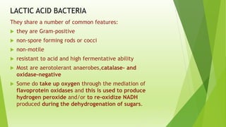 LACTIC ACID BACTERIA
They share a number of common features:
 they are Gram-positive
 non-spore forming rods or cocci
 non-motile
 resistant to acid and high fermentative ability
 Most are aerotolerant anaerobes,catalase- and
oxidase-negative
 Some do take up oxygen through the mediation of
flavoprotein oxidases and this is used to produce
hydrogen peroxide and/or to re-oxidize NADH
produced during the dehydrogenation of sugars.
 