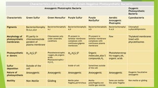 Characteristics of Major Groups of Gram-Negative Photosynthetic Bacteria
Anoxygenic Phototrophic Bacteria Oxygenic
Photosynthetic
Bacteria
Characteristic Green Sulfur Green Nonsulfur Purple Sulfur Purple
NonSulfur
Aerobic
Anoxygenic
Photrophic
Cyanobacteria
Pigments Bacteriochlorophy
lls a,c,d,e
Bacteriochlorophylls
a,c
Bacteriochlorophylls
a,b
Bacteriochlorophylls
a,b
Bacteriochlorophyl
ls a,b
Chlorophyll
a,phycobiliproteins
Morphology of
photosynthetic
membranes
PS partly in
chlorosomes(inde
pendent of
plasma membrane
Chlorosomes only
under anaerobic
conditions
PS present in
lamellar membrane
complexes with
continuous plasma
membrane
PS present in
lamellar membrane
complexes with
continuous plasma
membrane
Few Thylakoid membranes
lined with
phycobilisomes
Photosynthetic
e- donors
H2,H2S,S0 Photoheterotrophic
=sugars,AA,organic
acids;
Photoautotrophic=
H2S,H2
H2,H2S,S0 Organic
molecules,also S
compounds,H2
Photoheterotrop
hic=sugars,AA,
organic acids
Sulfur
deposition
Outside of the
cell
Inside of cell Sometimes outside
of the cell
Nature of
photosynthesis
Anoxygenic Anoxygenic Anoxygenic Anoxygenic Anoxygenic Oxygenic/facultative
anoxygenic
Motility Non Motile Gliding Motile-polar
flagella,peritrichous
Motile-
polarflagella;non
motile-gas vesicles
Some are motile-
few polar flagella
Non motile or gliding
 
 