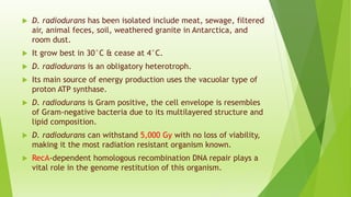 D. radiodurans has been isolated include meat, sewage, filtered
air, animal feces, soil, weathered granite in Antarctica, and
room dust.
 It grow best in 30°C & cease at 4°C.
 D. radiodurans is an obligatory heterotroph.
 Its main source of energy production uses the vacuolar type of
proton ATP synthase.
 D. radiodurans is Gram positive, the cell envelope is resembles
of Gram-negative bacteria due to its multilayered structure and
lipid composition.
 D. radiodurans can withstand 5,000 Gy with no loss of viability,
making it the most radiation resistant organism known.
 RecA-dependent homologous recombination DNA repair plays a
vital role in the genome restitution of this organism.
 
