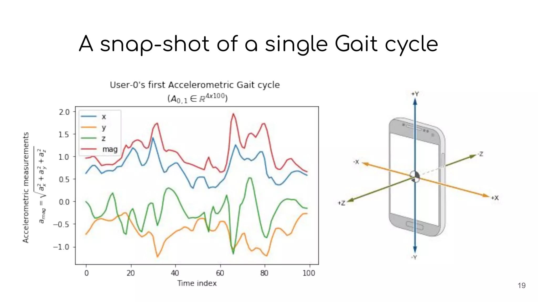 A snap-shot of a single Gait cycle
19
 