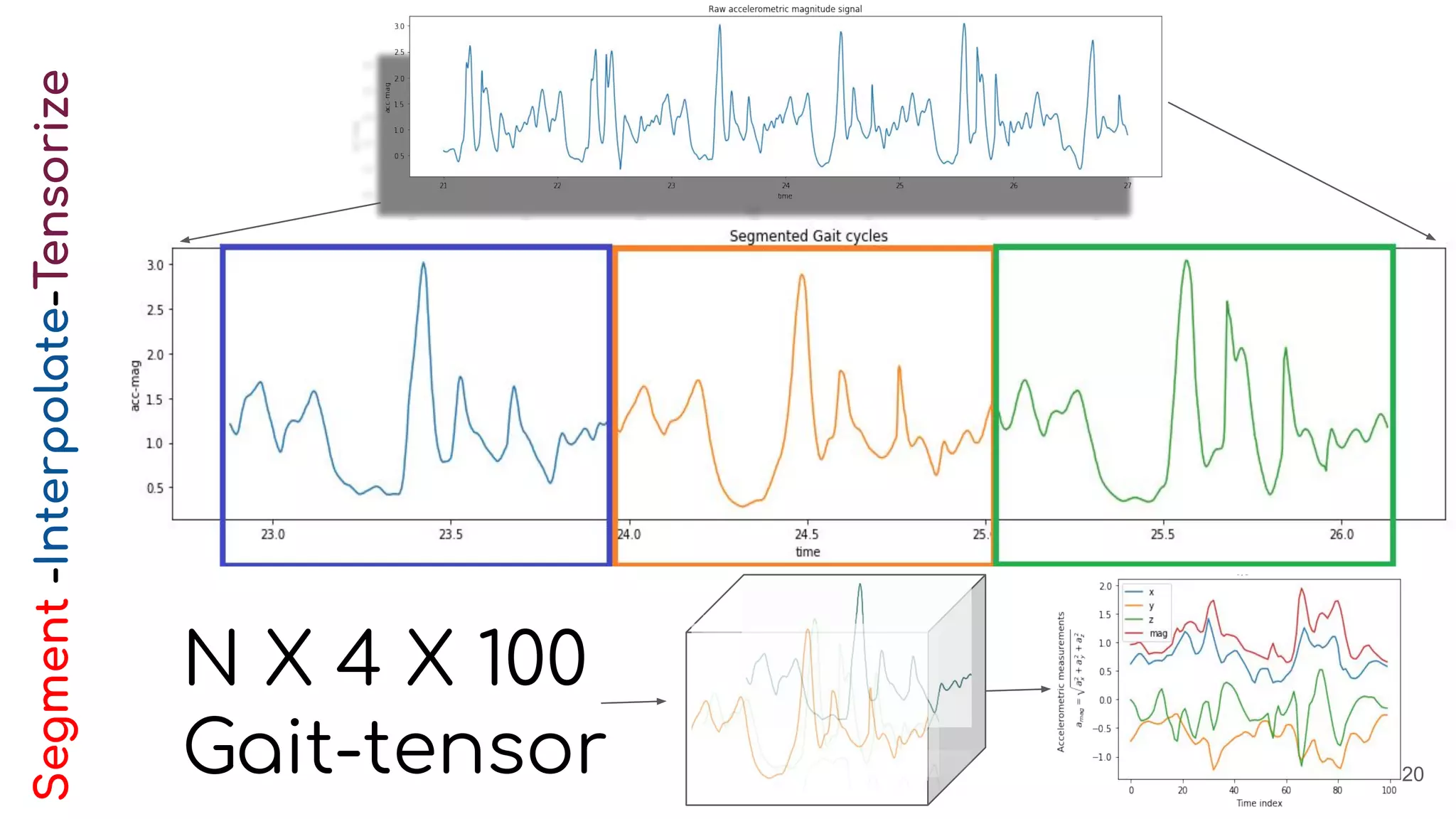 20
N X 4 X 100
Gait-tensor
Segment-Interpolate-Tensorize
 