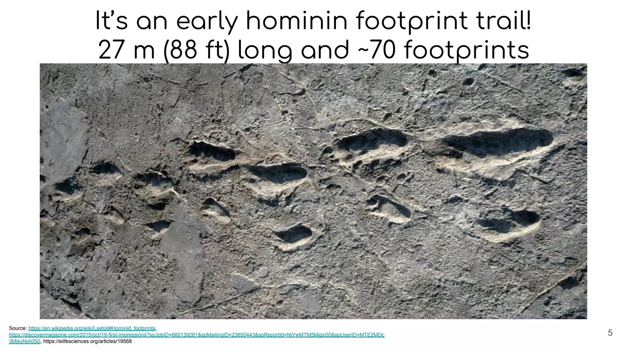 It’s an early hominin footprint trail!
27 m (88 ft) long and ~70 footprints
5
Source: https://en.wikipedia.org/wiki/Laetoli#Hominid_footprints,
https://discovermagazine.com/2015/oct/19-first-impressions?spJobID=660139281&spMailingID=23650443&spReportId=NjYwMTM5MjgxS0&spUserID=MTE2MDc
3MjkyNjA0S0, https://elifesciences.org/articles/19568
 