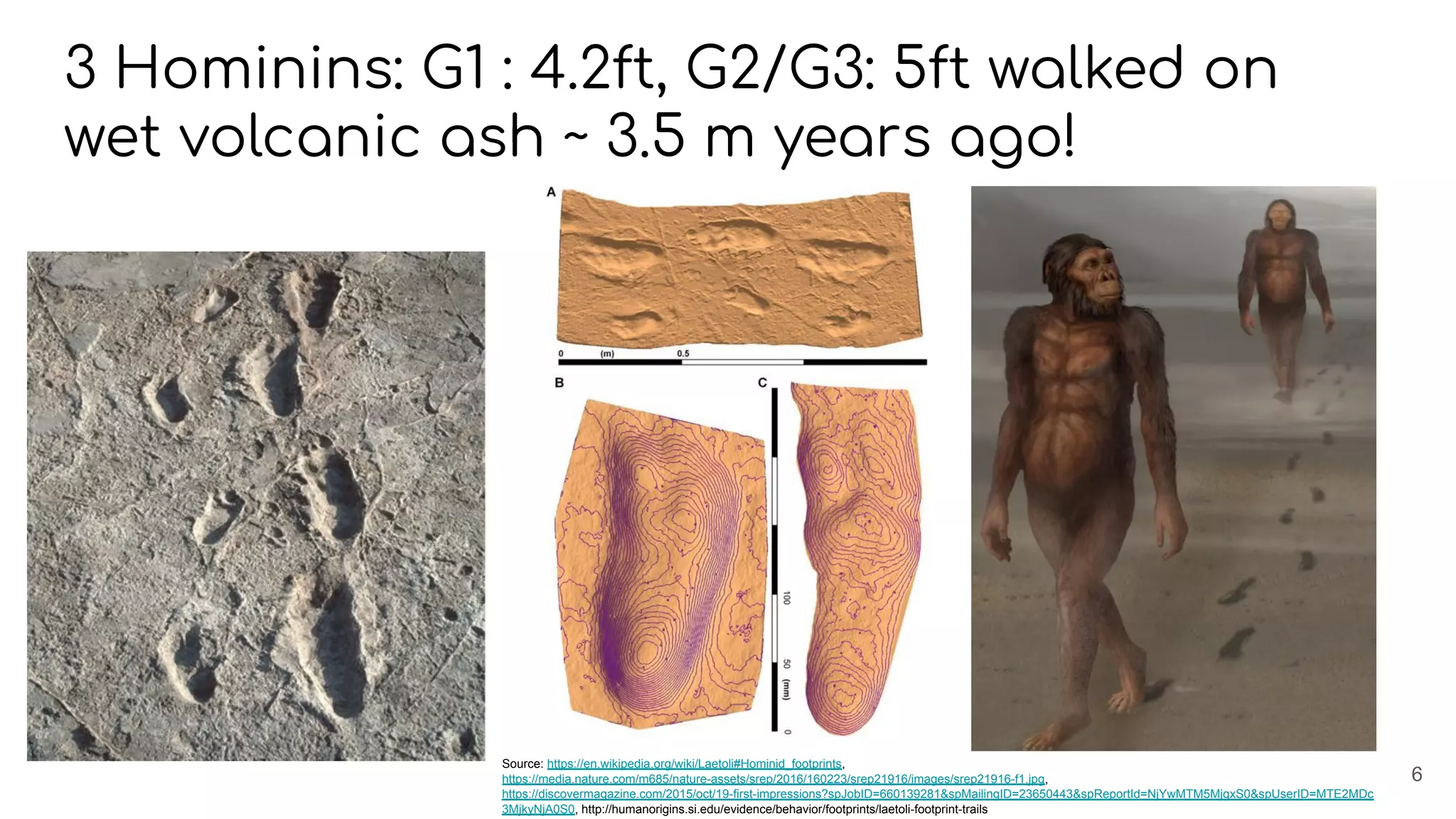 3 Hominins: G1 : 4.2ft, G2/G3: 5ft walked on
wet volcanic ash ~ 3.5 m years ago!
6
Source: https://en.wikipedia.org/wiki/Laetoli#Hominid_footprints,
https://media.nature.com/m685/nature-assets/srep/2016/160223/srep21916/images/srep21916-f1.jpg,
https://discovermagazine.com/2015/oct/19-first-impressions?spJobID=660139281&spMailingID=23650443&spReportId=NjYwMTM5MjgxS0&spUserID=MTE2MDc
3MjkyNjA0S0, http://humanorigins.si.edu/evidence/behavior/footprints/laetoli-footprint-trails
 