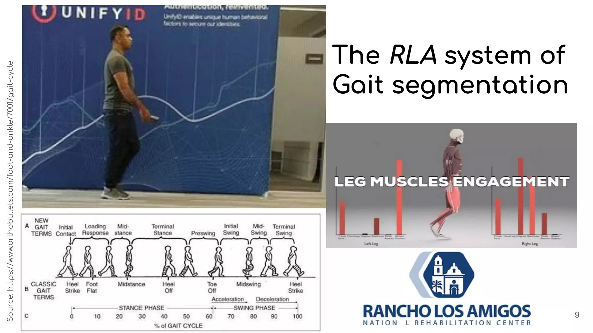 The RLA system of
Gait segmentation
Source:https://www.orthobullets.com/foot-and-ankle/7001/gait-cycle
9
 