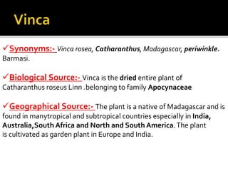Synonyms:- Vinca rosea, Catharanthus, Madagascar, periwinkle.
Barmasi.
Biological Source:- Vinca is the dried entire plant of
Catharanthus roseus Linn .belonging to family Apocynaceae
Geographical Source:- The plant is a native of Madagascar and is
found in manytropical and subtropical countries especially in India,
Australia,South Africa and North and South America.The plant
is cultivated as garden plant in Europe and India.
 