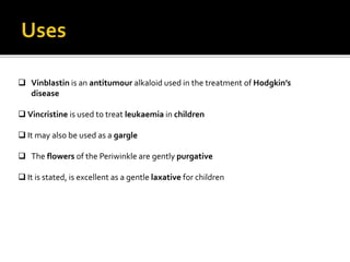  Vinblastin is an antitumour alkaloid used in the treatment of Hodgkin’s
disease
 Vincristine is used to treat leukaemia in children
 It may also be used as a gargle
 The flowers of the Periwinkle are gently purgative
 It is stated, is excellent as a gentle laxative for children
 