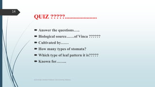 QUIZ ?????......................
 Answer the questions…..
 Biological source……of Vinca ??????
 Cultivated by……
 How many types of stomata?
 Which type of leaf pattern it is?????
 Known for……..
Sonia Singh, Assistant Professor, GLA University, Mathura
14
 