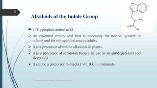 Alkaloids of the Indole Group
 L-Tryptophan amino acid
 An essential amino acid that is necessary for normal growth in
infants and for nitrogen balance in adults.
 It is a precursor of indole alkaloids in plants.
 It is a precursor of serotonin (hence its use as an antidepressant and
sleep aid).
 It can be a precursor to niacin ( vit. B3) in mammals.
Sonia Singh, Assistant Professor, GLA University, Mathura
3
 