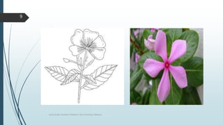 Sonia Singh, Assistant Professor, GLA University, Mathura
9
 