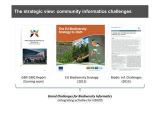 The strategic view: community informatics challenges
GBIF	
  GBIC	
  Report	
  
(Coming	
  soon)	
  
EU	
  Biodiversity	
  Strategy	
  
(2011)	
  
Biodiv.	
  Inf.	
  Challenges	
  
(2013)	
  
Grand	
  Challenges	
  for	
  Biodiversity	
  Informa6cs	
  
(integra6ng	
  ac6vi6es	
  for	
  H2020)	
  
 