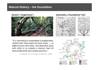 Natural History – the foundation
"It	
  is	
  interes0ng	
  to	
  contemplate	
  a	
  tangled	
  bank,	
  
clothed	
  with	
  many	
  plants	
  of	
  many	
  kinds,	
  …,	
  so	
  
diﬀerent	
  from	
  each	
  other,	
  and	
  dependent	
  upon	
  
each	
   other	
   in	
   so	
   complex	
   a	
   manner,	
   have	
   all	
  
been	
  produced	
  by	
  laws	
  ac0ng	
  around	
  us.”	
  
C.	
  Darwin	
  "On	
  the	
  Origin	
  of	
  Species”,	
  1859	
  
Darwin’s	
  “tangled	
  bank”…	
   Systema9cs,	
  a	
  founda9onal	
  “law”	
  
 