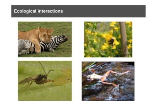 Ecological interactions
 