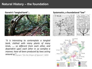 Natural History – the foundation
Darwin’s “tangled bank”…

"It is interesting to contemplate a tangled
bank, clothed with many plants of many
kinds, …, so different from each other, and
dependent upon each other in so complex a
manner, have all been produced by laws acting
around us.”
C. Darwin "On the Origin of Species”, 1859

Systematics, a foundational “law”

 