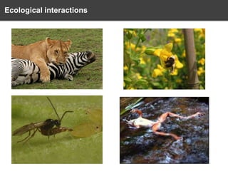 Ecological interactions

 