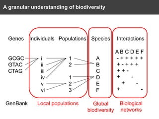 A granular understanding of biodiversity

Genes

Individuals Populations Species

Interactions
AB C D E F

GCGC
GTAC
CTAG

GenBank

i
ii
iii
iv
v
vi

1
2
1
2
3

Local populations

A
B
C
D
E
F
Global
biodiversity

-+++++
+-+++
+++
+
+
Biological
networks

 
