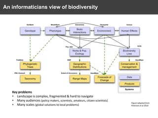 An informaticians view of biodiversity

GenBank

MorphBank

Interactions

Geospatial

Census

Genotype

Phenotype

Biotic
Interactions

Environment

Human Effects

IUCN

Pop. data

Niche & Pop.
Ecology
TreeBase

Biodiversity
Loss

GBIF

Phylogenetic
Trees
IPNI, Zoobank

Taxonomy

AquaMaps

Geographic
Dsitributions
Extent of Occurrence

Range Maps

Conservation &
management
AquaMaps

Forecasts of
Change

Data
Products
Systems

Key problems
• Landscape is complex, fragmented & hard to navigate
• Many audiences (policy makers, scientists, amateurs, citizen scientists)
• Many scales (global solutions to local problems)

Figure adapted from
Peterson et al 2010

 