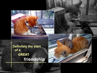 Definitely the start of a GREAT friendship