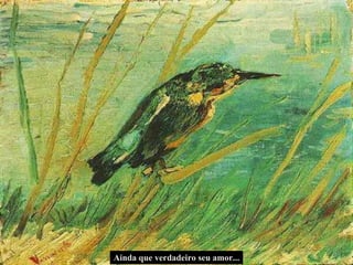 Ainda que verdadeiro seu amor... 