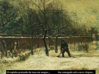 O espinho prateado da rosa em sangue... Jaz esmagado sob a neve virgem... 