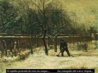 O espinho prateado da rosa em sangue... Jaz esmagado sob a neve virgem... 