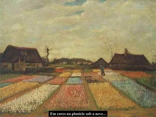 Em cores na planície sob a neve... 