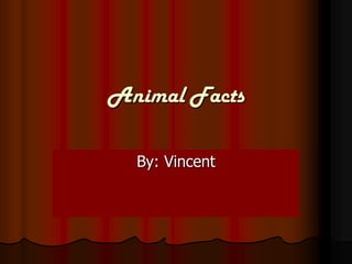 Animal Facts

  By: Vincent
 