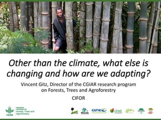 Other than the climate, what else is
changing and how are we adapting?
Vincent Gitz, Director of the CGIAR research program
on Forests, Trees and Agroforestry
CIFOR
 