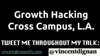 Growth Hacking
Cross Campus, L.A.
vincent@magnific.com
 