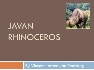JAVAN
RHINOCEROS

   By Vincent Jansen van Rensburg
 
