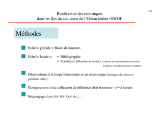 11/46

                       Biodiversité des moustiques
          dans les îles du sud-ouest de l’Océan indien (SWOI)
                                                            


Méthodes

    Echelle globale = Bases de données

    Echelle locale =    
•  Bibliographie
             
          
•  Inventaire (Missions de terrain)    Collectes et conditionnement de larves
              
         
           
           
              
 Collectes et conditionnement d’adultes


    Observations à la loupe binoculaire et au microscope (montages des larves et
    génitalias mâles)


    Comparaisons avec collection de référence (IRD Montpellier = 2ème d’Europe)

    Séquençage Cytb, COI, ITS (ARN-18s), … 

 
