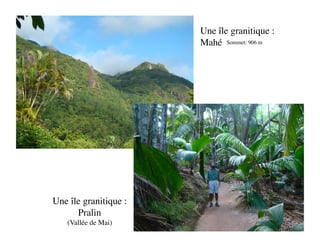 Une île granitique :
                        Mahé
 Sommet: 906 m




Une île granitique :
      Pralin
   (Vallée de Mai)
 