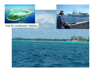 Une île corallienne: Aldabra
 