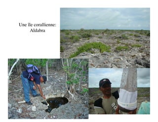 Une île corallienne:
      Aldabra
 