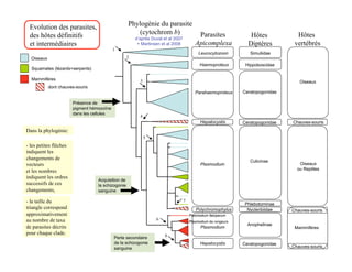 Evolution des parasites,                           Phylogénie du parasite
 des hôtes définitifs                                  (cytochrom b)                       Parasites               Hôtes            Hôtes
                                                        d’après Duval et al 2007
 et intermédiaires                                       + Martinsen et al 2008           Apicomplexa             Diptères         vertébrés
                                            1
                                                                                            Leucocytozoon          Simuliidae
  Oiseaux                                           2
                                                                                             Haemoproteus        Hippoboscidae
  Squamates (lézards+serpents)

  Mammifères                                              3                                                                          Oiseaux
            dont chauves-souris
                                                                                          Parahaemoproteus      Ceratopogonidae

                        Présence de
                        pigment hémozoïne
                        dans les cellules
                                                          4
                                                                                             Hepatocystis       Ceratopogonidae   Chauves-souris
Dans la phylogénie:
                                                              5
- les petites flèches
indiquent les
changements de                                                                                                     Culicinae
vecteurs                                                                                     Plasmodium                              Oiseaux
                                                                                                                                    ou Reptiles
et les nombres
indiquent les ordres
                                   Acquisition de
successifs de ces                  la schizogonie
changements,                       sanguine

- la taille du                                                                     7
                                                                                                                 Phlebotominae
triangle correspond                                                                       Polychromophylus        Nycteribiidae   Chauves-souris
approximativement                                                                      Plasmodium falciparum
au nombre de taxa                                                 6
                                                                                       Plasmodium de rongeurs
                                                                                                                  Anophelinae
de parasites décrits                                                                         Plasmodium                            Mammifères
pour chaque clade.                                                     8
                                            Perte secondaire
                                            de la schizogonie                                Hepatocystis       Ceratopogonidae
                                            sanguine                                                                              Chauves-souris
 