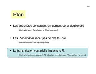 38/46




  Plan
•  Les anophèles constituent un élément de la biodiversité
      (illustrations aux Seychelles et à Madagascar)



•  Les Plasmodium n’ont pas de phase libre
      (illustrations chez les Apicomplexa)



•  La transmission vectorielle impacte le R0
      (illustrations dans le cadre de l’éradication mondiale des Plasmodium humains)
 