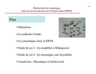 9/46

                     Biodiversité des moustiques
        dans les îles du sud-ouest de l’Océan indien (SWOI)
                                                          


Plan
    • Déﬁnitions

    • La méthode d’étude

    • Les moustiques dans le SWOI

    • Etude de cas 1 : les anophèles à Madagascar

    • Etude de cas 2 : les moustiques aux Seychelles

    • Conclusion : Moustiques et biodiversité
 