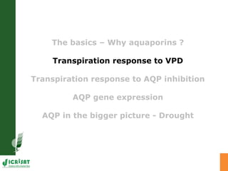 Developing crops with high productivity at high temperature