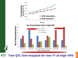 Developing crops with high productivity at high temperature