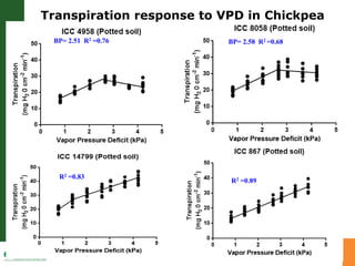Developing crops with high productivity at high temperature
