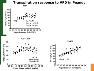 Developing crops with high productivity at high temperature