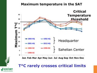 Developing crops with high productivity at high temperature