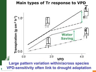 Developing crops with high productivity at high temperature
