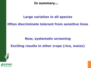 Developing crops with high productivity at high temperature