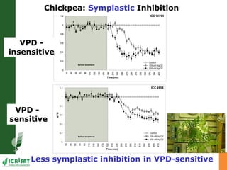 Developing crops with high productivity at high temperature