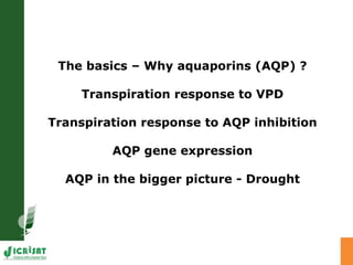 Developing crops with high productivity at high temperature
