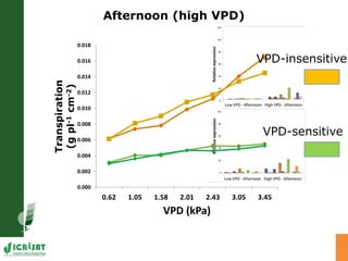 Developing crops with high productivity at high temperature