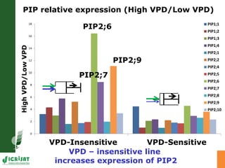 Developing crops with high productivity at high temperature