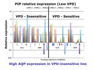 Developing crops with high productivity at high temperature