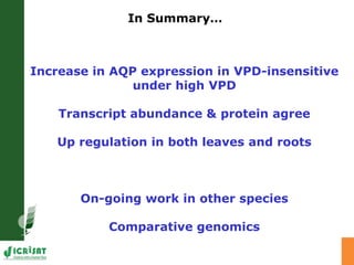 Developing crops with high productivity at high temperature